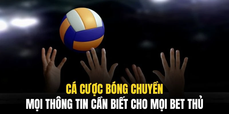 Cá cược bóng chuyền qq88